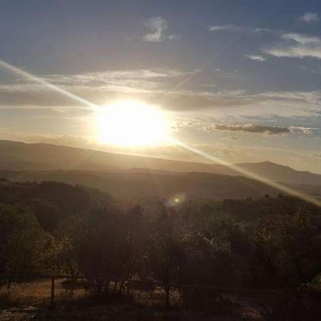 Casa Vacanza In Casale Vicino Orvieto Ficulle Buitenkant foto